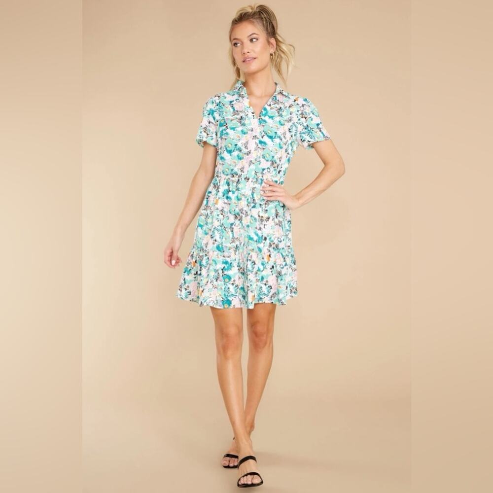 Lili Sidonio Sweet Daydreams Light Green Hirst Print Shirt Dress NEW XS